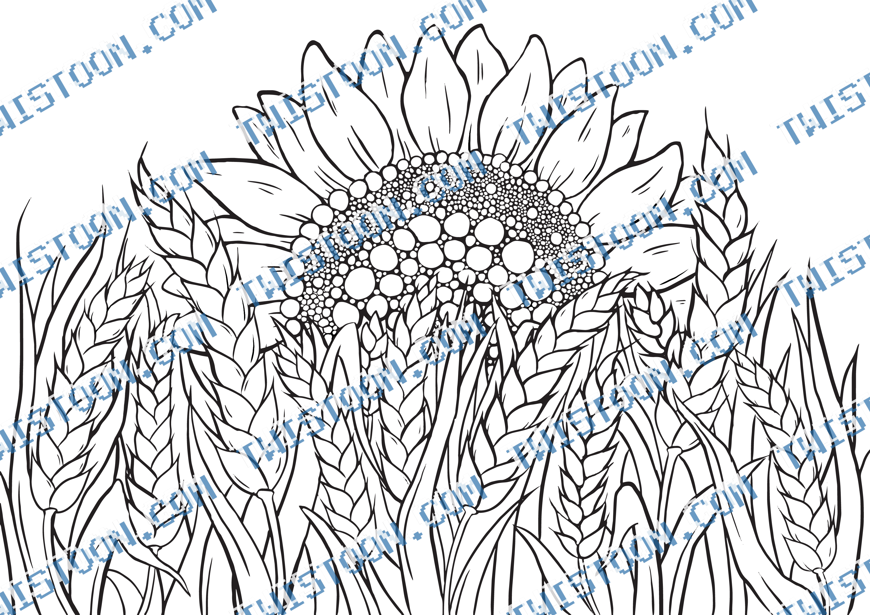 Sunflower Wheat Background